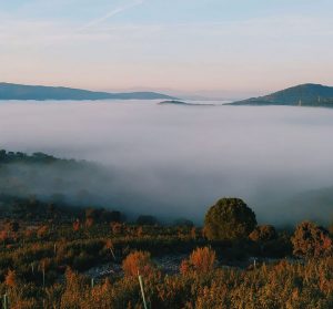 Biluthyrning & hyrbil Badajoz flygplats